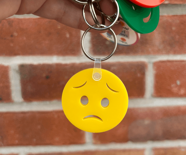 Emotions discs