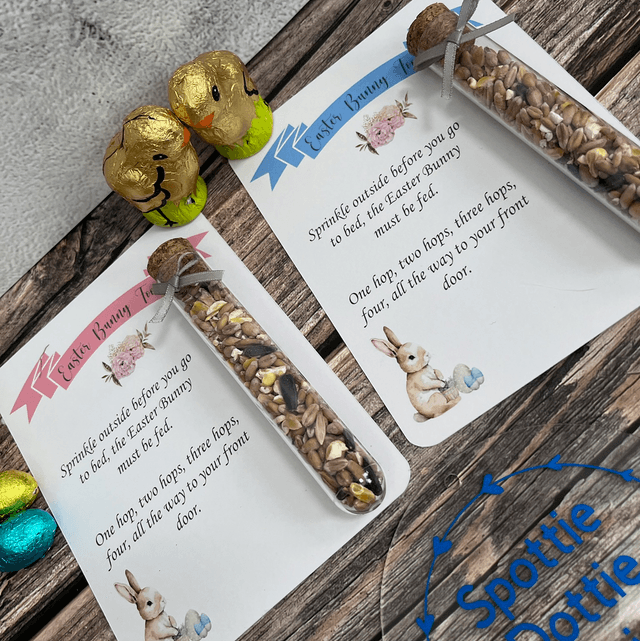Easter bunny food and gift bag